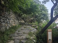 -北京鹫峰国家森林公园