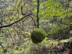 -夏霖九天银瀑风景区