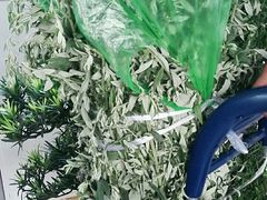 -冯小炒(巴渝大道店)