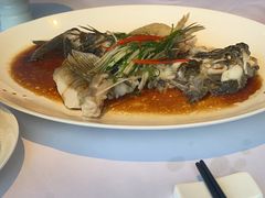 清蒸笋壳鱼-粤界(望京金辉店)