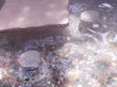 android_upload_pic-金方森林温泉