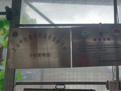 -马陆小张葡萄园农家乐