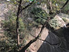 -乌山风景区