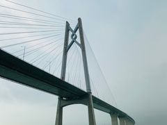 -招商蛇口邮轮母港(观光客运)