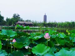 -西海子公园