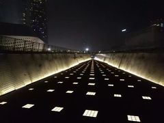 -南京眼步行桥