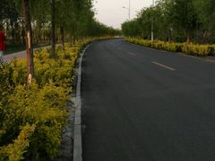 android_upload_pic-卧龙湖