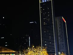 -成都尼依格罗酒店
