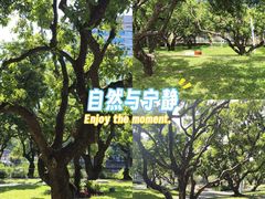 -四海公园(南山区)