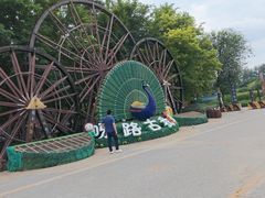 -呀路古热带植物园