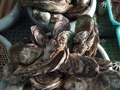 浩运海鲜酒店-浩运·海鲜青岛菜·海胆水饺(石老人店)