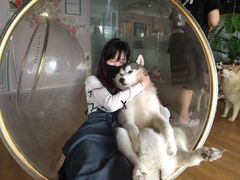 -Husky Go! 哈士奇体验馆·宠物咖啡厅狗咖