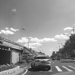 -THE LOG SALON 记录