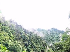 景点-东天目山风景区