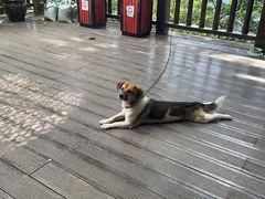 -灵顺寺