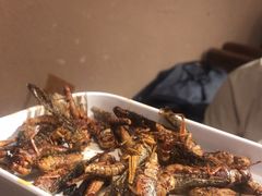 -柿子树炭烤羊腿(金台路店)