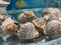 -鑫渔港海鲜本地菜·山海关浑锅(东戴河店)