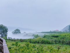 -河口景区