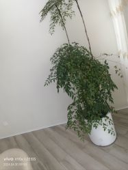 -HEYAN荷妍专业脱毛连锁机构