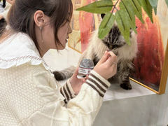 -共舞时光猫咖·狗咖(新街口店)