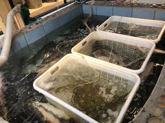 水产区-胖姐渔村(中源大道店)
