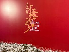 -合肥大剧院