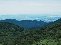 -大姆山草场