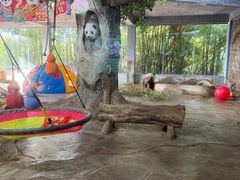 -海南热带野生动植物园