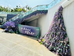 -四川美术馆