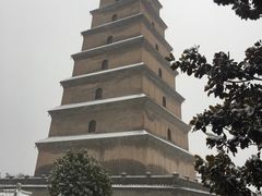-必胜客(花舞大唐博物馆店)