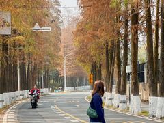 -南沙天后宫景区