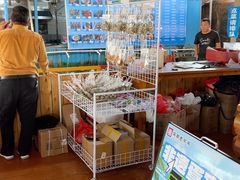 -蓝湾碧波·老字号·疍家非遗海上餐厅