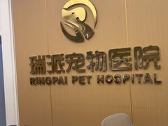 -瑞派康怡24h宠物医院·犬猫医疗中心·微创绝育(瑞景分院)