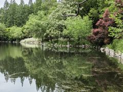 -东平国家森林公园