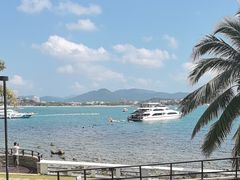 -雾山韩式烤肉·海南糟粕&椰子鸡火锅·海景餐厅(三亚绿发山海天JW万豪酒店)