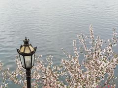 -莫愁湖公园