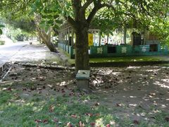 DSC08333-湖光岩风景区