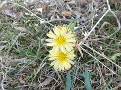 -济南国际园博园