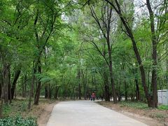 -廊坊市自然公园