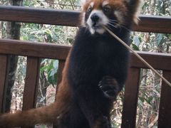 -普洱太阳河森林公园