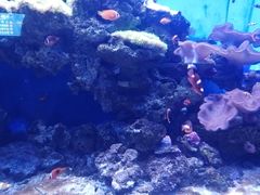 -多彩贵州城极地海洋世界