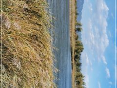 -野鸭湖国家湿地公园