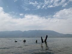 -大理洱海