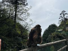 -峨眉山风景名胜区
