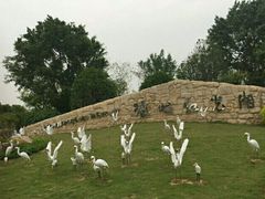 -琅岐红光湖公园