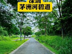 -麗枫酒店(深圳机场福永地铁站店)