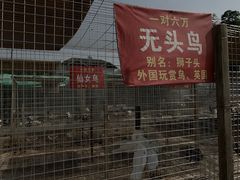 -渭南桃花源民俗文化园