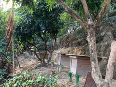 -鲤鱼塘农家山庄