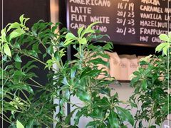 -茶缸AMOKKA COFFEE