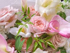 -花生FM_FLOWERS